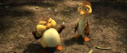 鸭子国产视频,鸭子的趣味生活大揭秘 第2张 鸭子国产视频,鸭子的趣味生活大揭秘 第2张